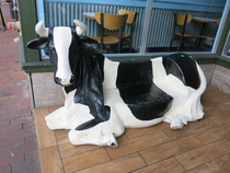 The benches at a popular icecream joint are aparently filled with the bodies of dead cows according to my  year old thus giving them that realistic vibe He told the cashier