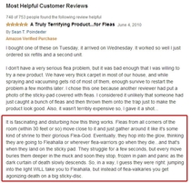 The best flea trap review youll read today