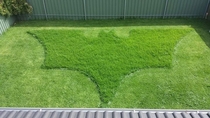 The bosses wife asked him to mow the lawn This is what she got
