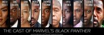 The cast of Marvels Black Panther