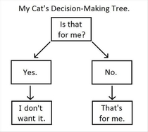 The cat decision-making tree