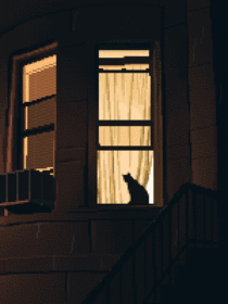 The cat looks at the evening rain