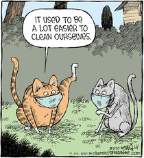 the Cats-and-Covid conundrum