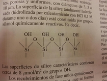 The chemical composition of a latina orgasm