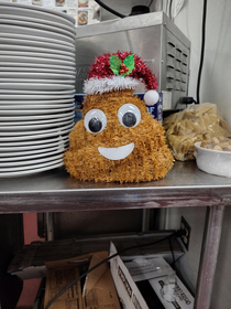 The Christmas poop in the back of the house at my job
