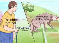 The cycle of younger and older brother