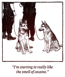 The down side to being a police dog