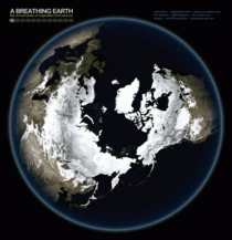 The Earths Seasonal Heartbeat as Seen from Space