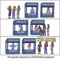 The gender disparity in STEM fields explained