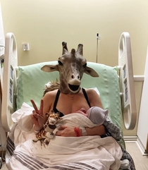 The giraffe finally had her baby