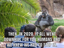 The Great Silverback Uprising