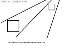 The illusions so good I cant see the circles