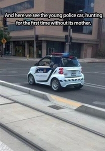 The illusive police car
