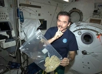 The ISS knows how to party