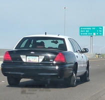 The license plate on this retired police car