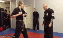 The most advanced form of martial arts I have ever seen
