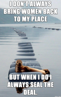The Most Interesting Seal In the World