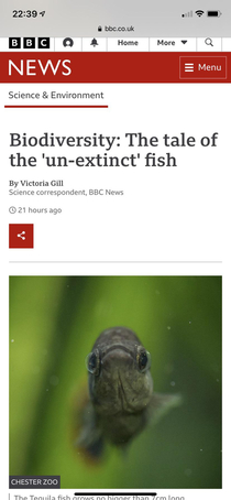 The name of the journalist credited with this story about fish