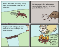 The Noble Ant 