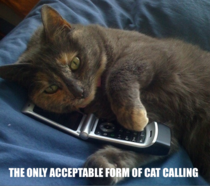 The Only Acceptable Form of Cat-Calling
