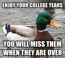 The only advice that I have for incoming freshman