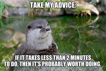 The otter has a point