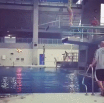 The perfect dive