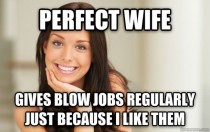 The Perfect Wife My Wife