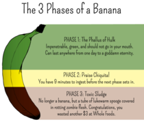 The  phases of a banana