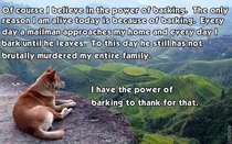The Power of Barking