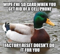 The previous owner of the phone had several AdviceAnimal images saved to the SD card