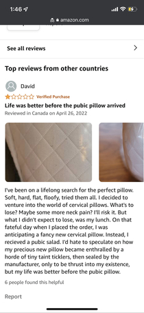 The Pubic Pillow