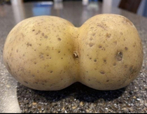 The rare and elusive Ass Potato