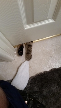 The reason why I cant poop in peace