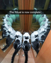 The ritual is now complete