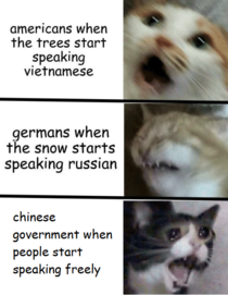 The Russians when the trees start speaking Finnish