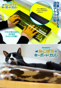 THE Solution to the Cat on the Keyboard Problem