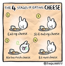 The  stages of eating cheese
