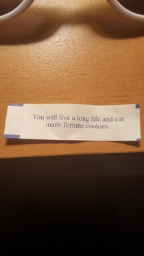 The Truest Fortune Cookie Yet