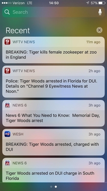 The way my news alerts came in made me think it was all the same Tiger