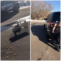 The Wyoming MN police are setting  traps for the second year in a row