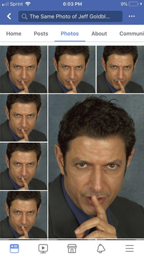 There is a Facebook page that has posted the same photograph of Jeff Goldblum once a day every day for over  and a half years
