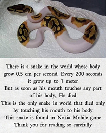 There is a snake that grows  cm per second