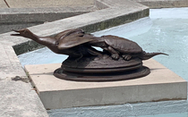 Theres a statue by my friends office that looks like a turtle eating out a ducks ass