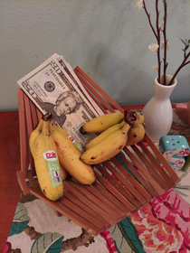 Theres always money in the banana stand banana for scale