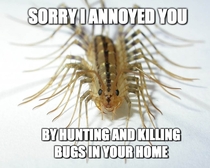 These bug-bros are misunderstood