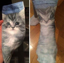 These cat socks