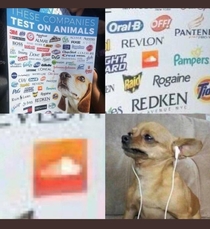 these companies test on animals