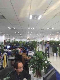 They must have really enjoyed the plants increase productivity study here in China