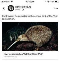 Things started to heat up at the annual Bird of the year competition